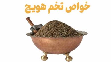 آشنایی با خواص تخم هویج | کاربرد، قیمت و خرید تخم هویج