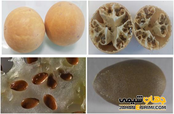 اثرات جانبی هندوانه ابوجهل