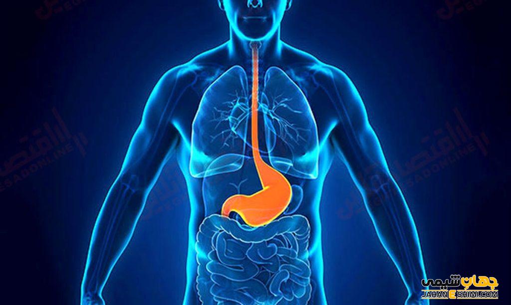 شربت تونیک مقوی معده چیست؟ موارد و نحوه مصرف و عوارض آن