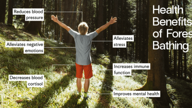 فواید جنگل چیست؟ - انواع جنگل و جنگل زدایی