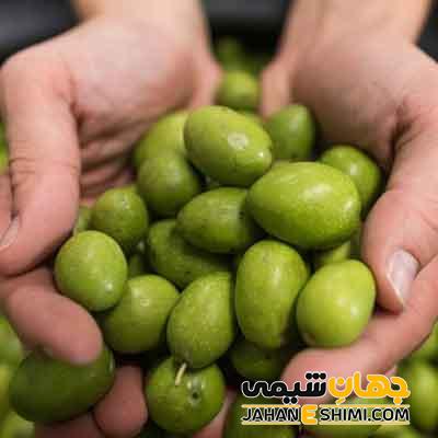اسید اولئیک چیست؟ طرز تهیه و کاربرد