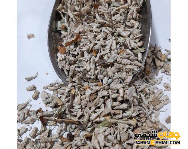 میل جنسی بانوان را افزایش می دهد