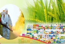 همه چیز در مورد طبقه بندی آفت کش ها