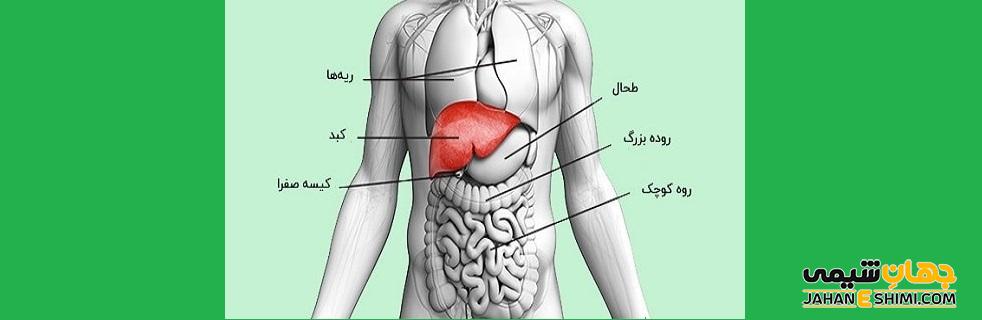 کپسول لیورکینگ بی دی آ چیست؟ موارد و نحوه مصرف و عوارض آن