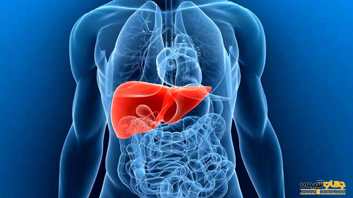 قرص و کپسول لیور فید نیو (Liver feed New) چیست؟