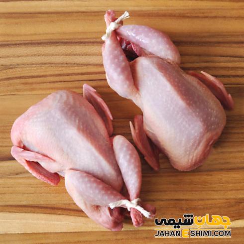 خواص گوشت بلدرچین را بشناسید
