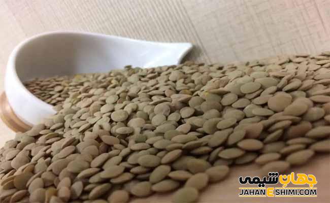 معرفی انواع عدس و خواص آنها | جهان شیمی فیزیک