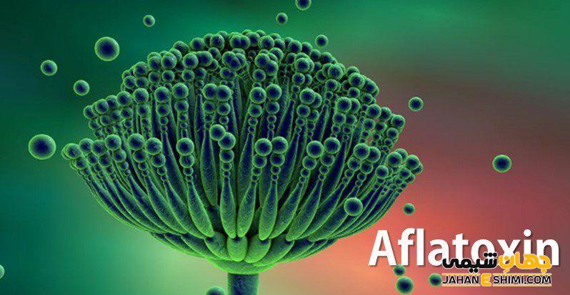 آفلاتوکسین پسته چیست؟ مضرات مصرف آفلاتوکسین پسته