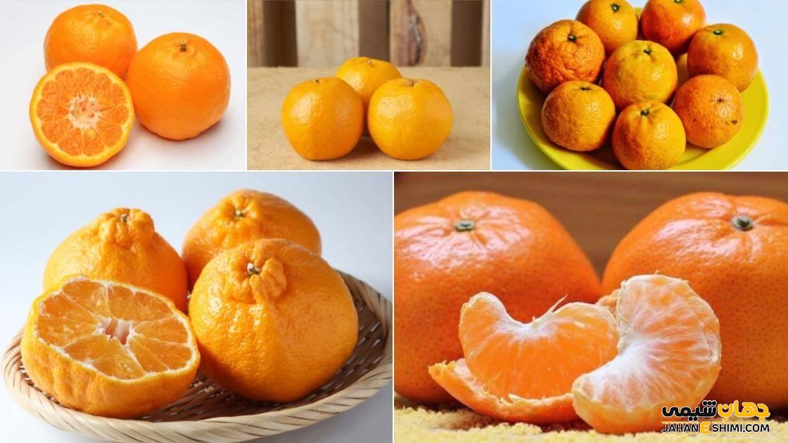 انواع پرتقال ماندارین