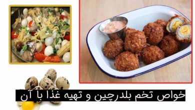 خواص تخم بلدرچین چیست؟ طرز تهیه اسکاچ مرغ با تخم بلدرچین
