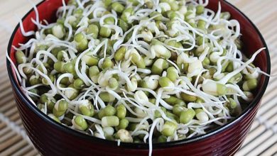 جوانه ماش چه خواصی دارد؟ طرز تهیه جوانه ماش چگونه است؟