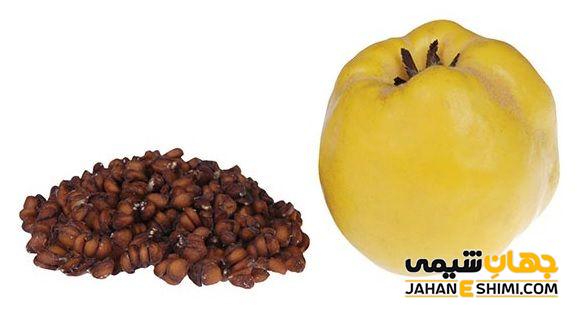 خواص درمانی دانه‌ به