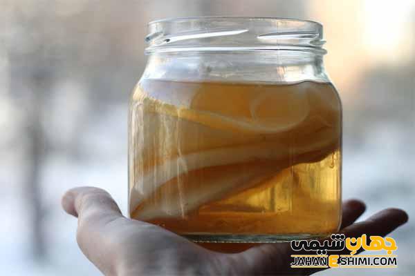 خواص نوشیدنی کامبوجا چیست؟ تهیه نوشیدنی کامبوجا در منزل