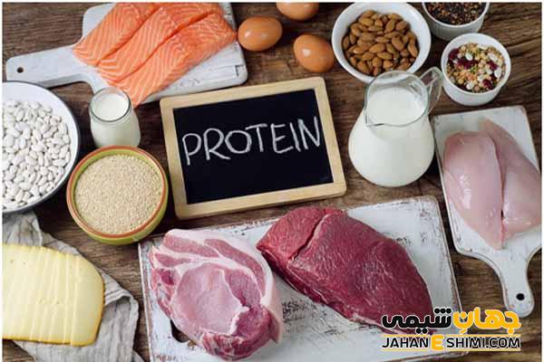 برنامه کاربردی رژیم پروتئین برای کاهش وزن