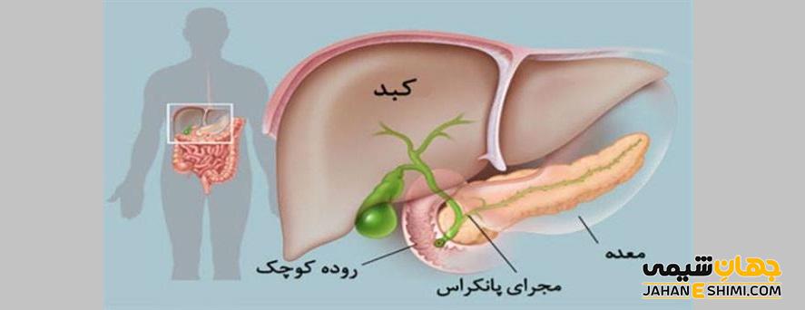 قرص پانکراتین چیست؟ موارد و نحوه مصرف و عوارض آن