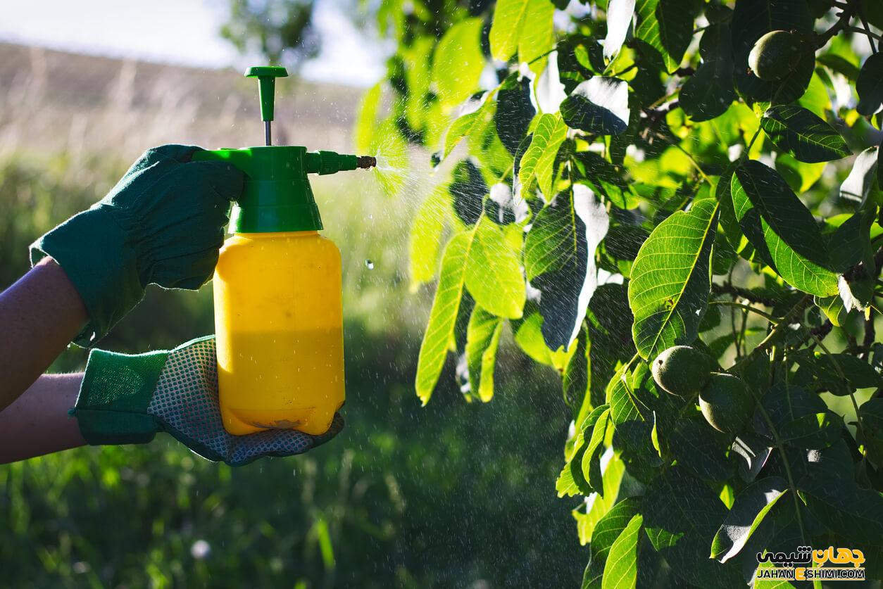 قارچ کش سیستماتیک چیست