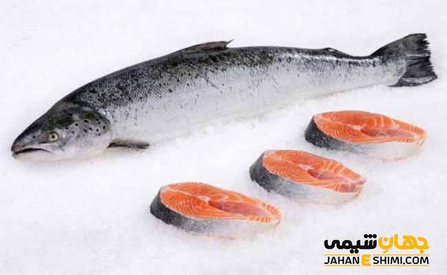 درباره گوشت ماهی سالمون و خواص آن چه می دانید؟