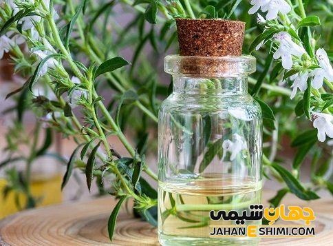 مشخصات گیاه شناسی گیاه چشوم