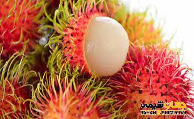خواص میوه رامبوتان چیست؟ فواید، مضرات، نحوه مصرف و قیمت خرید