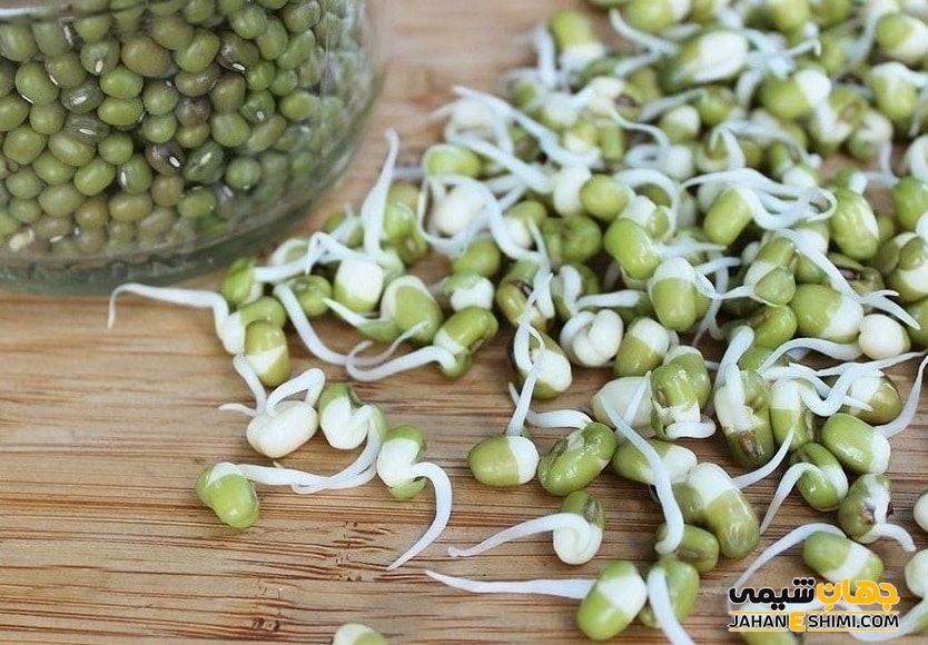 نحوه مصرف جوانه ماش در طب سنتی