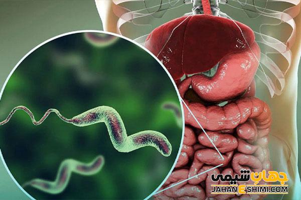 کپسول یوموگی چیست؟ معرفی، موارد مصرف و عوارض آن