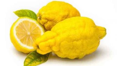 معرفی ترنج و خواص آن برای سلامتی بدن