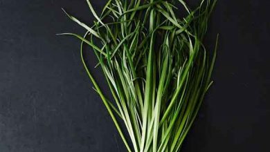 تره کوهی چیست و چه فوایدی برای بدن دارد؟