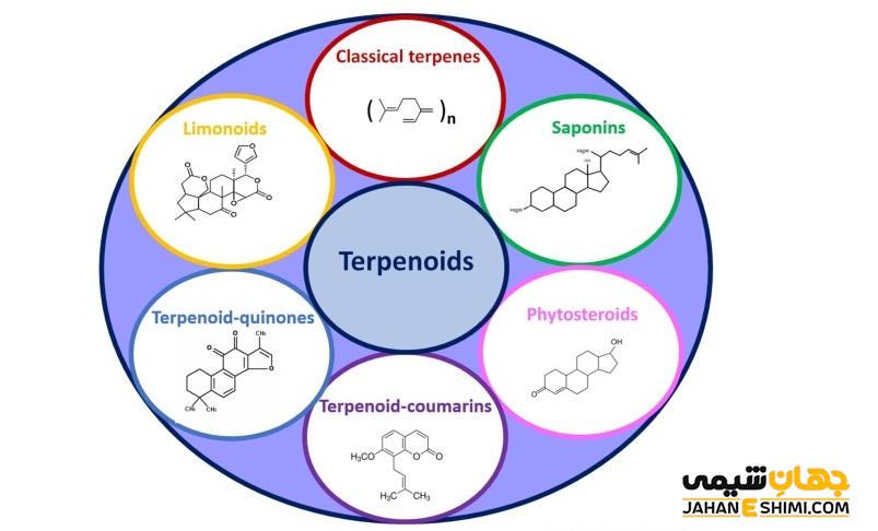 ترپنوئید Terpenoid چیست؟ عملکرد و کاربرد آنها