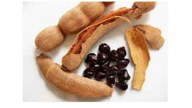 خواص تمر هندی چیست؟ فواید، کــاربرد، مضـرات و نحوه مصـرف