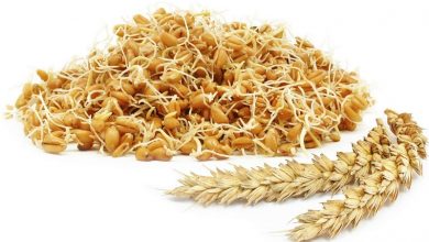خواص و فواید جوانه گندم برای سلامتی بدن