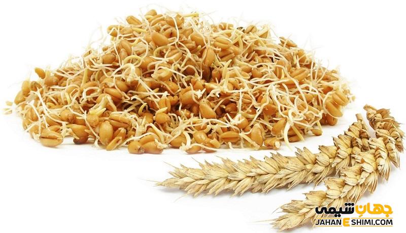 خواص و فواید جوانه گندم برای سلامتی بدن