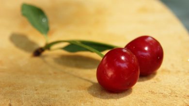 خواص آلبالو برای سلامتی چیست و چه مضراتی دارد؟