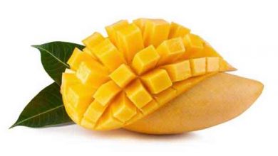 خواص انبه چیست؟ انواع، فواید، کاربرد، مضرات آن