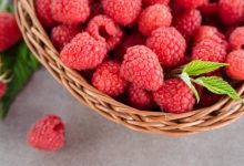 خواص تمشک برای سلامتی و فواید ضد سرطانی آن