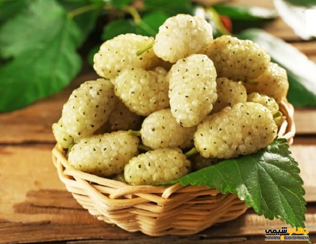 خواص توت سفید برای سلامتی و تقویت حافظه چیست؟