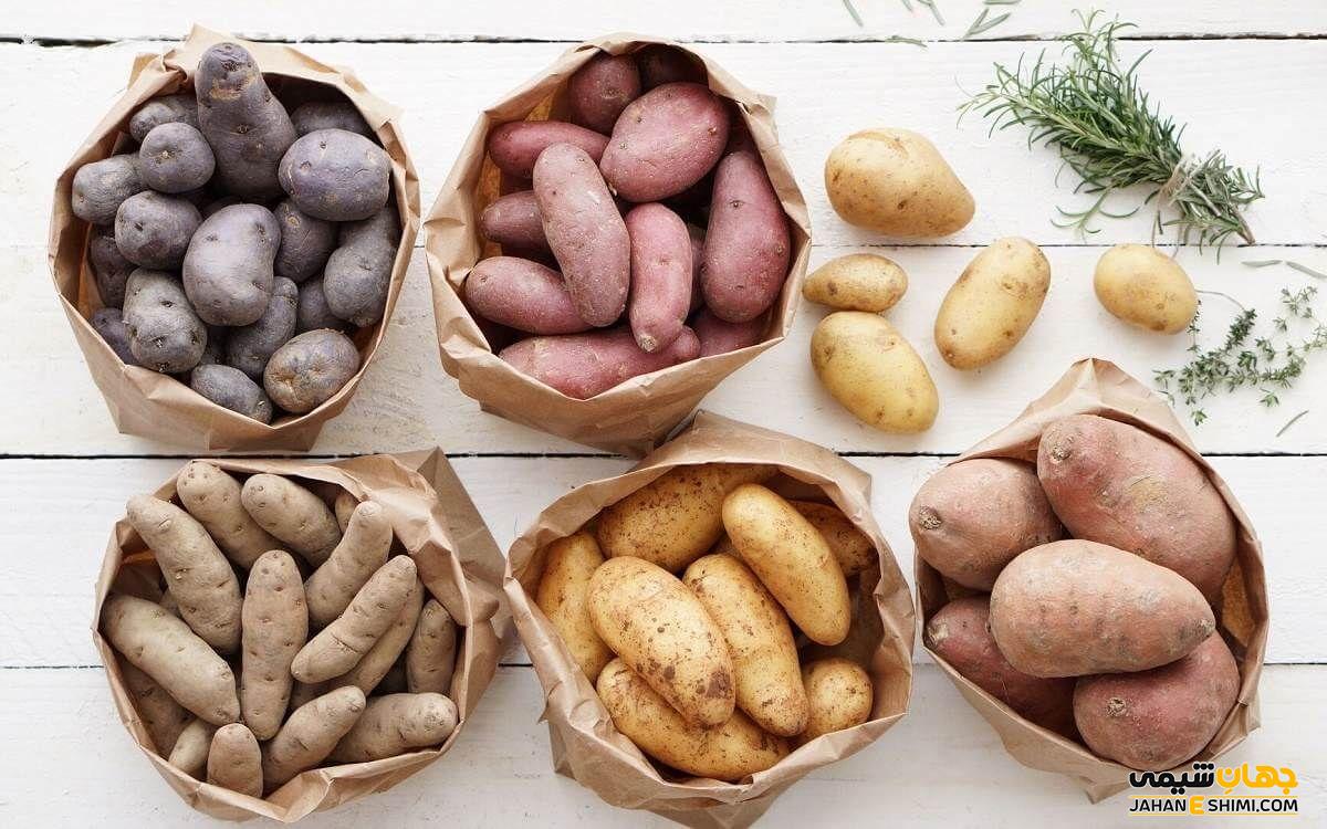 خواص درمانی سیب زمینی کدام است؟ روش انتخاب و نگهداری آن چگونه است؟