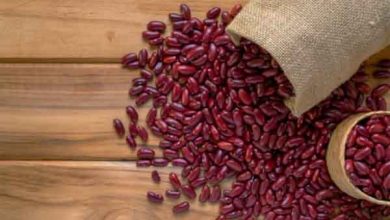 خواص لوبیا قرمز چیست و چه فوایدی و مضراتی برای بدن دارد؟