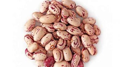 خواص بی نظیر لوبیا چیتی و عوارض جدی آن را بشناسید!