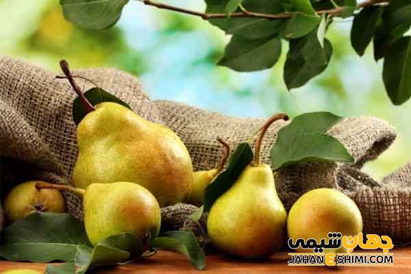 خواص گلابی چیست؟ چه فوایدی برای پوست صورت دارد؟