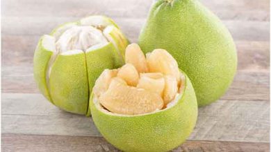 درباره دارابی و خواص آن چه می دانید؟