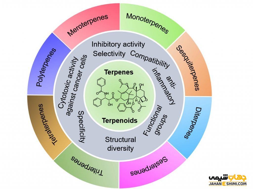 ترپنوئید Terpenoid چیست؟ عملکرد و کاربرد آنها
