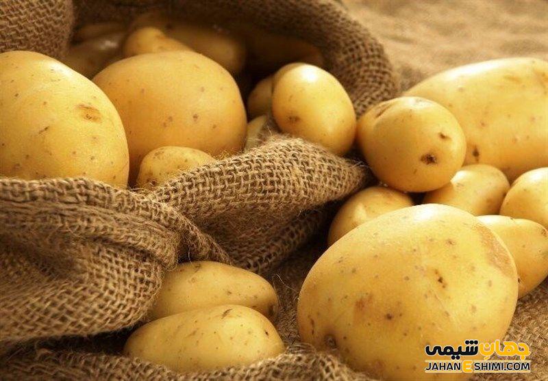 دیگر مصارف سیب زمینی