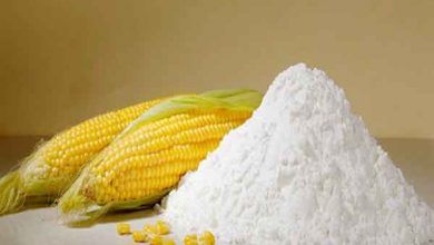 پودر ذرت / آرد ذرت چیست؟ خواص، کاربرد و ارزش غذایی آن