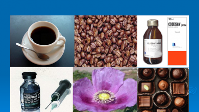 آلکالوئید: یک متابولیت دارویی ارزشمند گیاهی