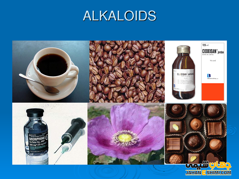 آلکالوئید: یک متابولیت دارویی ارزشمند گیاهی