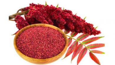 معرفی و بررسی انواع سماق و خواص آن