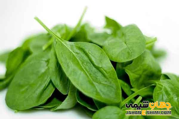خواص عرق بولاغ اوتی چیست؟ فواید، مضرات، طبع و روش مصرف و نگهداری آن