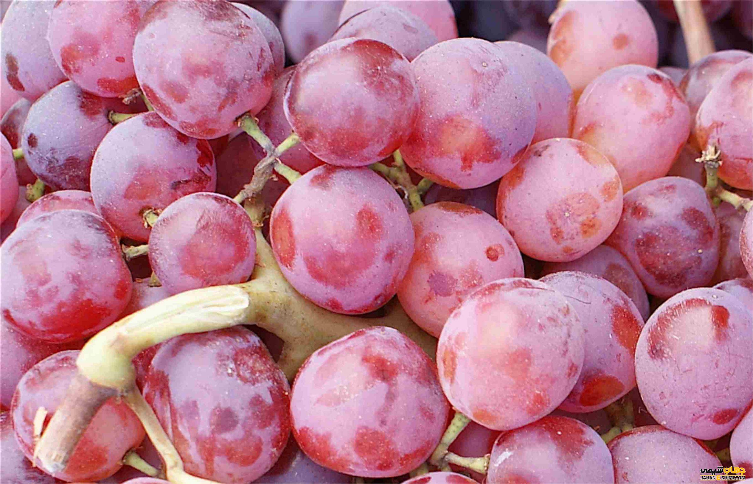 فواید انواع انگور برای سلامتی
