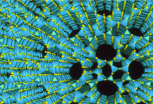 کاربرد زئولایت چیست؟ قیمت خرید و فروش آن