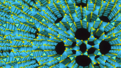 کاربرد زئولایت چیست؟ قیمت خرید و فروش آن